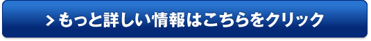 フライビシット販売サイトへ