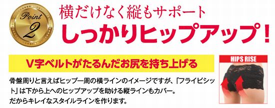 フライビシット 効果