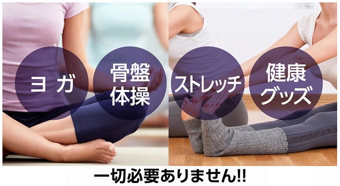 フライビシットの効果